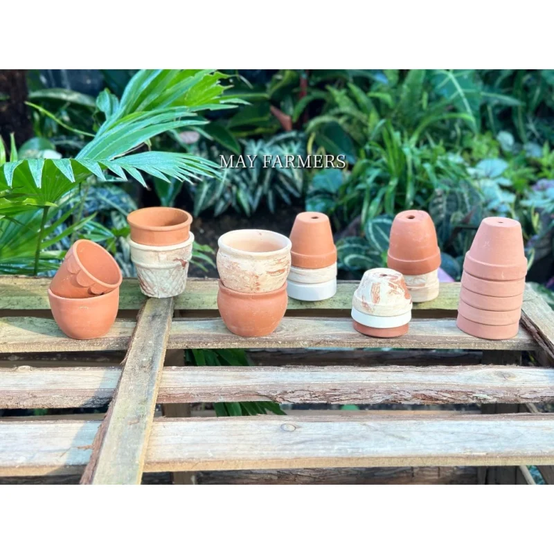 [ COMBO 119K ] COMBO Chậu Đất Nung Đồng Size Từ 6cm đến 7cm - Trồng Xương Rồng , Sen Đá...