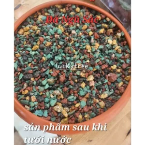 [Túi 1kg] Đá NGŨ SẮC Rải Mặt Chậu KT 3mm - 6mm - Dùng Cho Xương Rồng , Sen Đá...