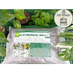 ( BAO ~ 6kg ) MONSTERA SOIL Giá Thể Trồng Cây Dành Cho Kiểng Lá.