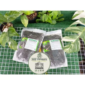 GIÁ THỂ CAO CẤP CHUYÊN DỤNG CHO PHONG LAN - KIẾM ( Túi 4L)