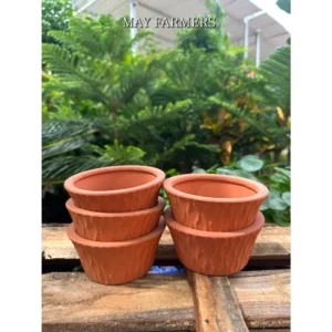 Chậu Đất Nung Rễ Tròn - Trồng Xương Rồng - Sen Đá... size 11cm x 5cm
