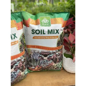 NEW - Giá Thể Trồng Sen Đá Túi 3dm - 5dm - 6kg   SOILMIX  - Mẫu Mã Mới...