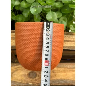 CHẬU ĐẤT NUNG TRỨNG LƯỚI ĐỎ size 11cm x 9,5cm