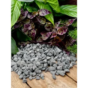 ZEOLITE STONE _ Đá Rải Mặt Chậu – Trộn Giá Thể Trồng Sen Đá…