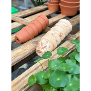 Chậu Đất Nung Ly Bầu Size 7x6cm - Trồng Sen Đá , Xương Rồng...