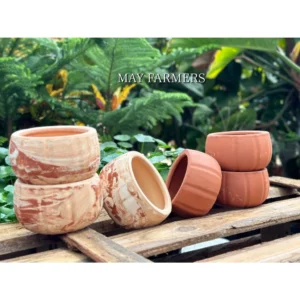 Chậu Đất Nung Bí Ngô Size Miệng 10cm x Cao 6cm , Trồng Xương Rồng , Sen Đá