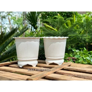 Chậu Nhựa Ba Chân Sọc Trắng - Trồng Cây Cảnh , Trồng Hoa...
