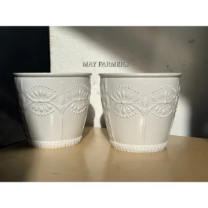 Chậu Nhựa Cát Tường (VG02 ) Trắng KT25cm x Cao 22cm - Trồng Cây Cảnh , Sen Đá...