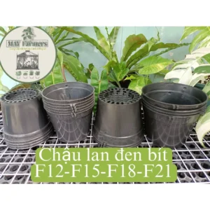 Chậu Nhựa Đen TRỒNG LAN - Chậu Lỗ Bít - Ươm Kie - Trồng Cây Cảnh - Hoa Lan