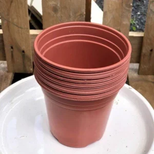 Chậu Nhựa Dẻo Vành Cứng màu nâu - Chậu Hoa - Chậu Trồng Sen Đá - Chậu Ươm Cây Cảnh...