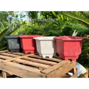 Chậu Nhựa Lục Giác Mai Có Chân - Trồng Mai Bonsai , Cây Cảnh Mini...