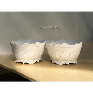 Chậu Nhựa Trắng Bạch Tượng - Trồng Xương Rồng , Sen Đá...