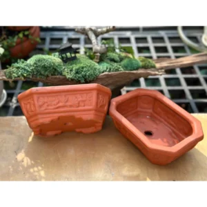 Chậu Đất Nung Chữ Nhật Bonsai Hoa Văn - Trồng Bonsai - Sen Đá...