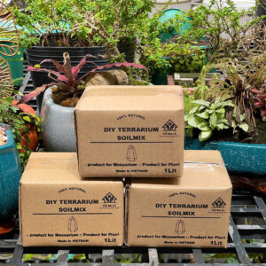 Đất Sáng Tạo DIY TERRARIUM SOILMIX - Giá Thể Chuyên Dụng Cho Terrarium - Sen Đá