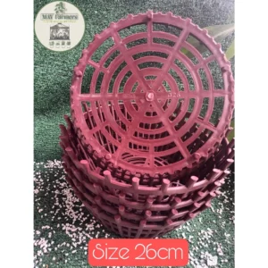 Chậu Nhựa TRỒNG LAN - Nan Phụ NÂU F20cm - F26cm - F35cm