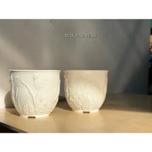 Chậu Nhựa Họa Mi Trắng - Trồng Cây Cảnh , Sen Đá...