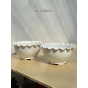 Tổng Hợp Chậu Nhựa Size Trung Màu Trắng - Trồng Xương Rồng , Sen Đá , Cây Cảnh...