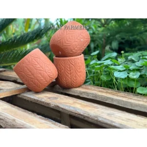 Chậu Đất Nung Hình Chiếc Lá Size 10cm x 9cm , Trồng Xương Rồng - Sen Đá...