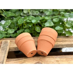 Chậu Đất Nung - Hàng LỖI MEN, Thanh Lý , Trồng Sen Đá