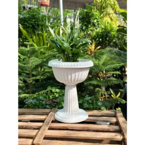 Chậu Nhựa Ly Bông Có Đế Chân + Miệng Ly - Cắm Hoa , Trồng Sen Đá Size Lớn...