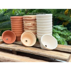 Chậu Đất Nung Ly Thao Tròn - Trồng Xương Rồng , Sen Đá...