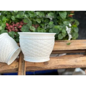 Chậu Nhựa Trồng Xương Rồng , Sen Đá Mini - Cây Để Bàn - Bonsai Mini....