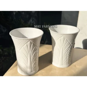 Chậu Nhựa Ống Chiếc Lá - Trồng Cây Cảnh , Sen Đá , Xương Rồng...