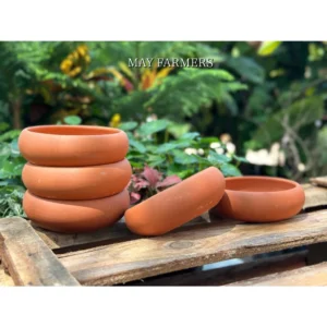 Chậu Đất Nung Ang Bonsai Thấp - Trồng Xương Rồng , Sen Đá...