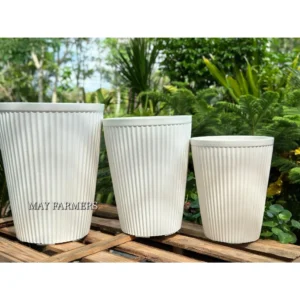 Chậu Nhựa Sọc Cao Trắng - Hàng Loại 1 Dày Dặn - Chắc Chắn...