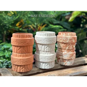 Chậu Đất Nung Trụ SunShine KT 8x8cm - Trồng Xương Rồng , Sen Đá...