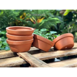 Chậu Đất Nung Thao - Trồng Xương Rồng , Sen Đá , Cây Cảnh...