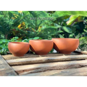 Chậu Đất Nung Tô Tròn - Trồng Xương Rồng, Sen Đá , Bonsai...