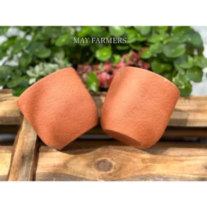 Chậu Đất Nung trứng Bông Cúc size 12x10,5cm  _ Trồng Xương Rồng - Sen Đá...