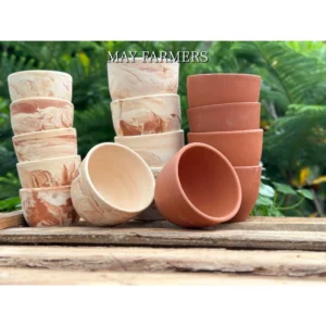 Chậu Đất Nung Ly Trứng - Trồng Xương Rồng , Sen Đá...