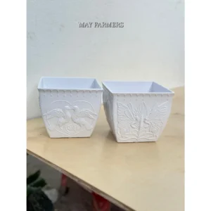 Chậu Nhựa VALENTINE Trắng - Trồng Xương Rồng , Sen Đá , Cây Cảnh Để Bàn...
