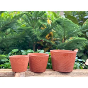 Bộ 3 Cái Chậu Đất Nung Trụ Vót - Trồng Xương Rồng , Sen Đá...