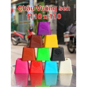Chậu Nhựa Vuông Sen Mini Trồng Xương Rồng, Sen Đá, Cây Mini Để Bàn...