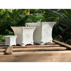 Chậu Nhựa Vuông Hồ Điệp Trắng - Trồng Cây Cảnh , Hoa Cảnh, Sen Đá....