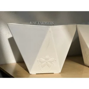 Chậu Nhựa Vuông Vạt Cạnh - Trồng Xương Rồng , Sen Đá...