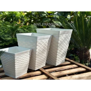Chậu Nhựa Vuông Mắc Lưới - Trồng Cây - Hoa Cảnh.